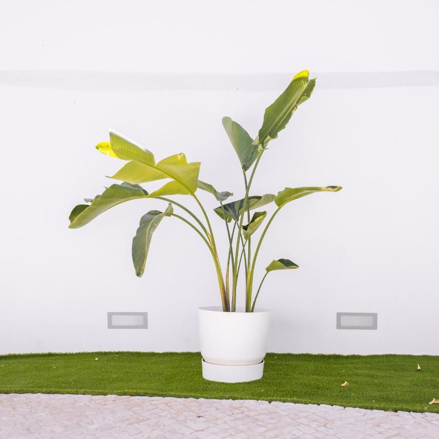 Dear Faro - Guest House 外观 照片